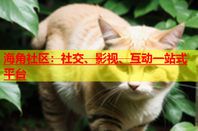 海角社区：社交、影视、互动一站式平台