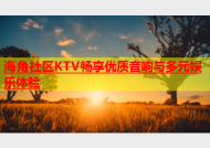 海角社区KTV畅享优质音响与多元娱乐体验