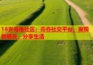 18岁海角社区：青春社交平台，发现新朋友，分享生活