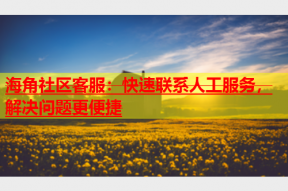海角社区客服：快速联系人工服务，解决问题更便捷