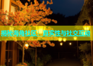揭秘海角社区：真实性与社交互动