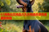 61海角社区精品久久久精选资源高速更新体验