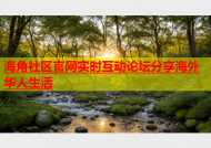 海角社区官网实时互动论坛分享海外华人生活