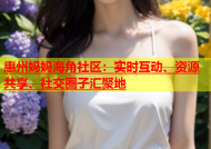 惠州妈妈海角社区：实时互动、资源共享、社交圈子汇聚地