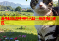 海角社区大神黑料入口，精选热门资源