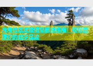 海角社区足迹信息删除指南：轻松管理你的数字足迹