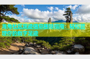 海角社区足迹信息删除指南：轻松管理你的数字足迹