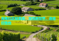 海角社区轻量版：发现新世界，连接你我他