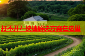 打不开？快速解决方案在这里