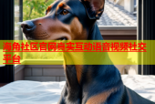 海角社区官网真实互动语音视频社交平台