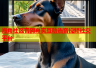 海角社区官网真实互动语音视频社交平台