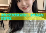 海角社区账号凭证照片，安全分享与管理专区