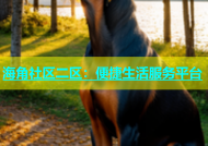 海角社区二区：便捷生活服务平台