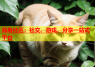 海角社区：社交、游戏、分享一站式平台