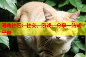 海角社区：社交、游戏、分享一站式平台