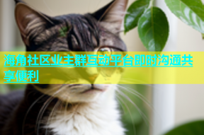 海角社区业主群互动平台即时沟通共享便利