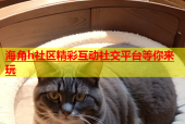 海角h社区精彩互动社交平台等你来玩