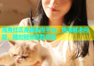 海角社区客服咨询平台：快速解决问题，随时随地获取帮助