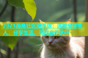 2021海角社区网页版：连接全球华人，分享生活，寻找合作伙伴