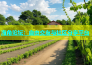 海角论坛：自由交友与社区分享平台