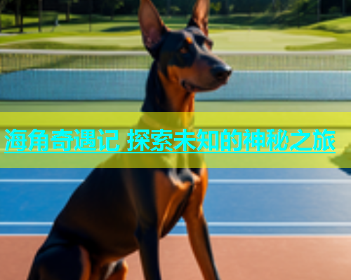 海角奇遇记 探索未知的神秘之旅  第1张