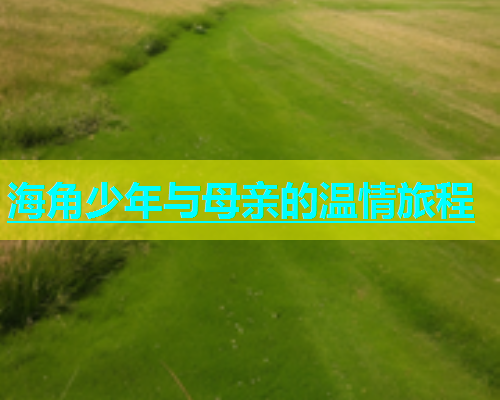 海角少年与母亲的温情旅程  第1张