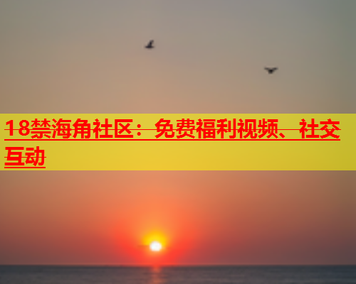 18禁海角社区：免费福利视频、社交互动  第1张