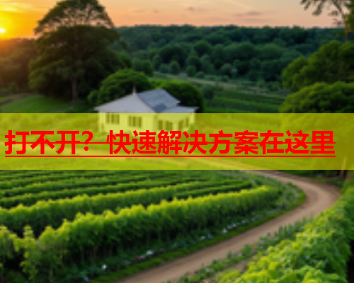 打不开？快速解决方案在这里  第1张