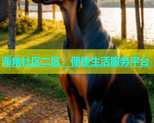海角社区二区：便捷生活服务平台  第1张