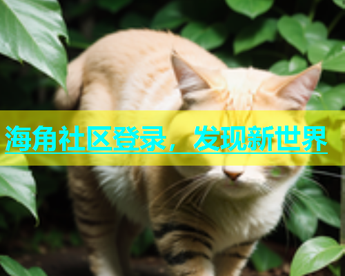 海角社区登录，发现新世界  第1张