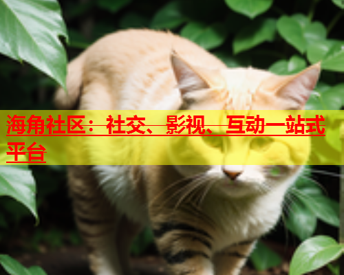 海角社区：社交、影视、互动一站式平台  第1张