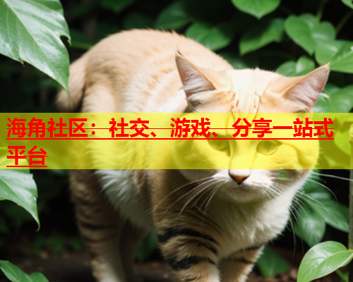 海角社区：社交、游戏、分享一站式平台  第1张