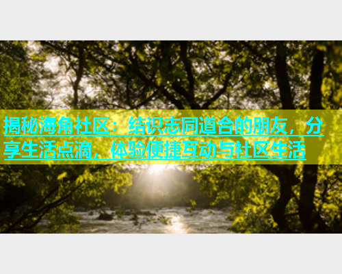 揭秘海角社区：结识志同道合的朋友，分享生活点滴，体验便捷互动与社区生活  第1张