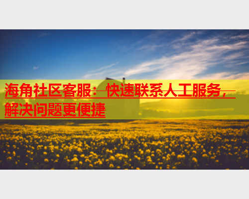 海角社区客服：快速联系人工服务，解决问题更便捷  第1张