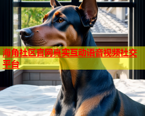 海角社区官网真实互动语音视频社交平台  第1张