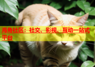 海角社区：社交、影视、互动一站式平台