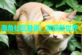 海角社区登录，发现新世界