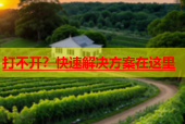 打不开？快速解决方案在这里